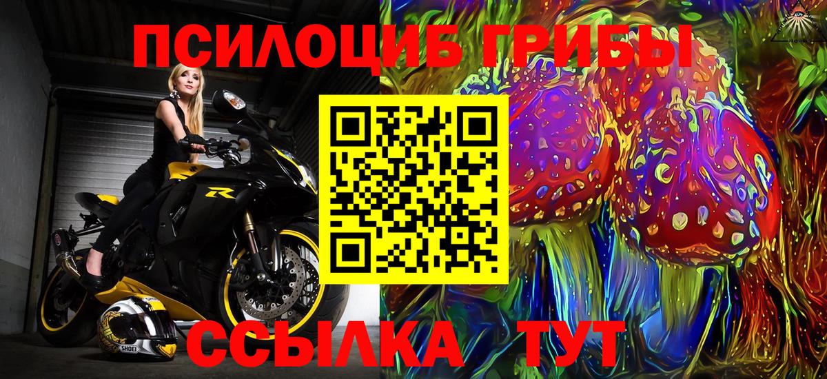 Псилоцибиновые грибы прущие грибы Ливны